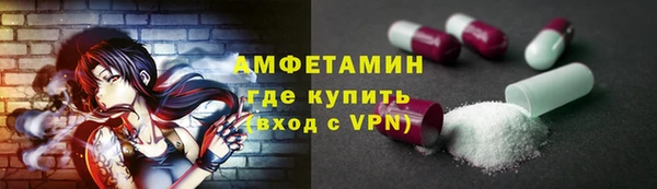 гидра Алексеевка