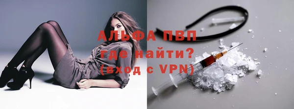 гидра Алексеевка