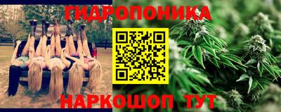 бошки Бийск