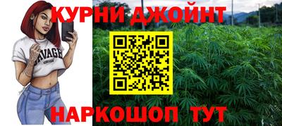 индика Беслан