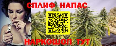 бошки Бийск