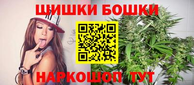 индика Беслан
