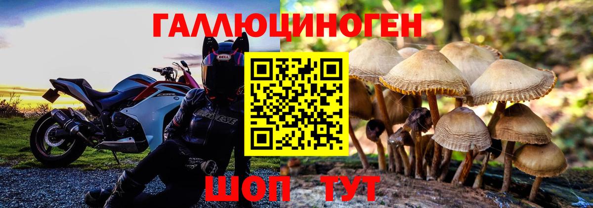Галлюциногенные грибы Psilocybe Каменск-Уральский